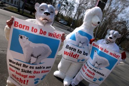 Animal rights activists picketed the Nuremberg zoo on April 8 to protest what they see as the gratuitous commercialization of Snowflake.Photo: DPA