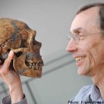 Humans bred with Neanderthals: study