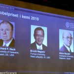 Chemistry Nobel shared by three scientists