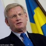 Saudi Arabia a ‘family business’: Bildt