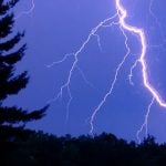 Lightning strike kills 15 cows