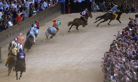 Animal activists call for Palio ban after horse dies