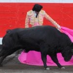 Balearic Islands break with tradition with ban on bullfights
