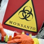 Monsanto takeover would be ‘diabolical’: environmentalists