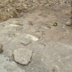 Italian team finds earliest footprints of Homo Erectus