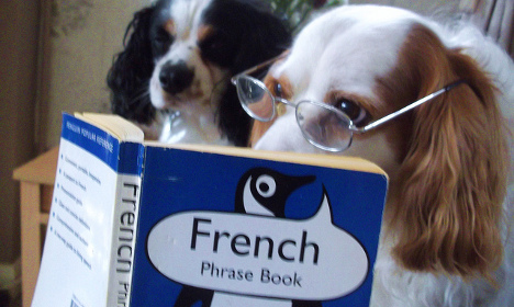 French language: Are these the most annoying words?