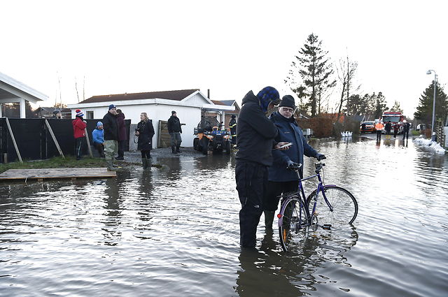 Residents in the town of Jyllinge near Roskilde awoke Tuesday to find that the Roskilde Fjord had flooded their street. Photo: Claus Bech/Scanpix