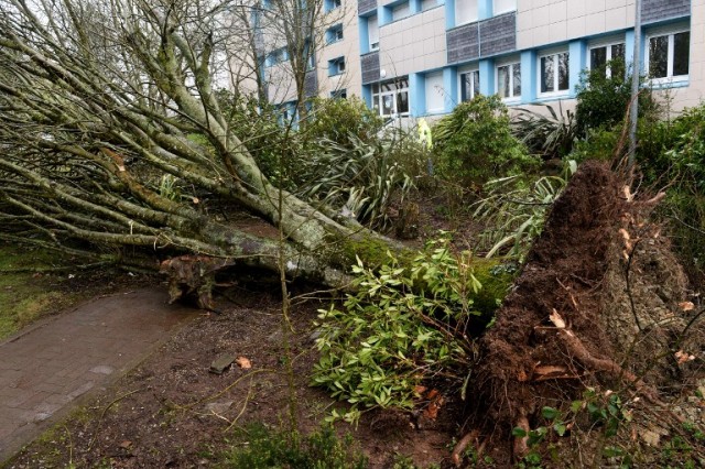 IN PICTURES: Storm Zeus wreaks havoc across France