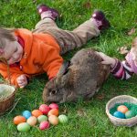 Easter in Germany: The very deutsch origins of the Easter Bunny
