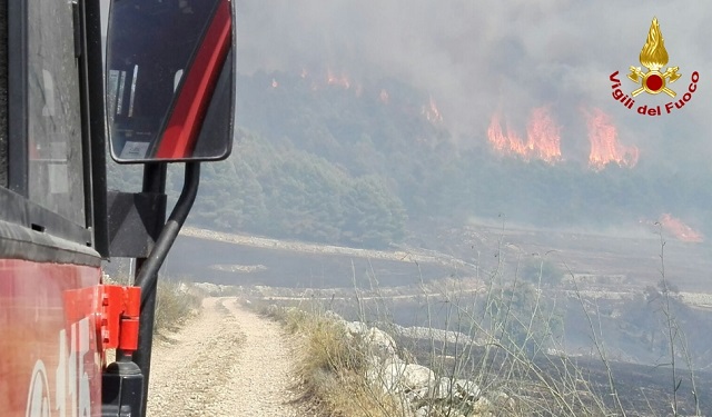 Dozens of animals killed, farms destroyed after a weekend of fires in Sicily