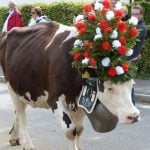 Ten brilliant Swiss traditions to experience this autumn