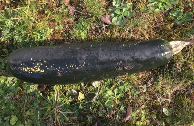 False alarm after man mistakes large courgette in garden for WWII bomb