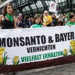 Bayer’s Monsanto takeover less lucrative than expected