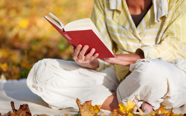 10 of the best novels about life in rural France (apart from A Year in Provence)
