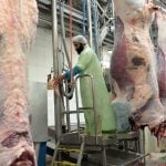 Austrian official proposes ritual animal slaughter controls