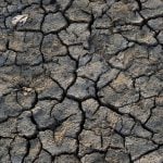 Switzerland's driest summer for more than a decade threatening water supplies