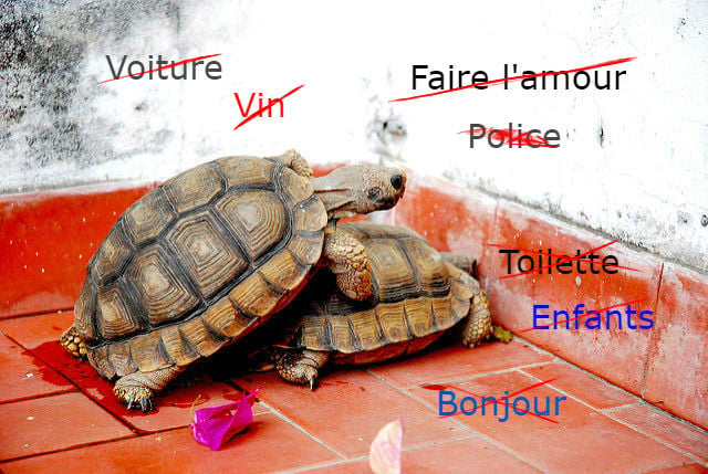 French slang: The everyday words they don't teach you at  school