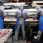Denmark’s bacon exports damaging environment: Greenpeace