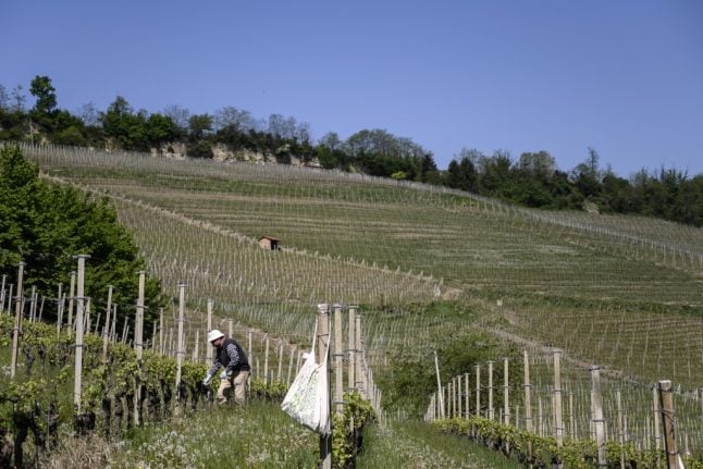 How the coronavirus crisis has hit Piedmont’s wineries – and how you can help