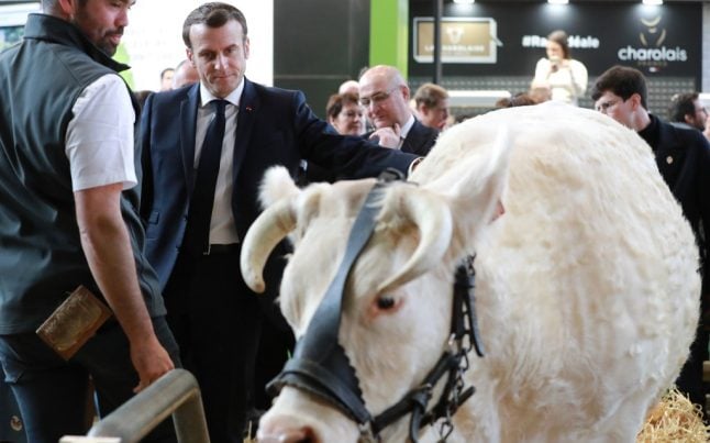 Paris agriculture show beloved of French presidential candidates cancels 2021 event