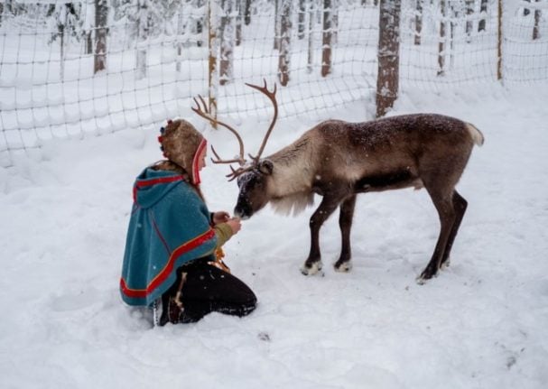 The court ruled that the wind park was harming the sami people. Pictured is a Sami woman and a reindeer. 