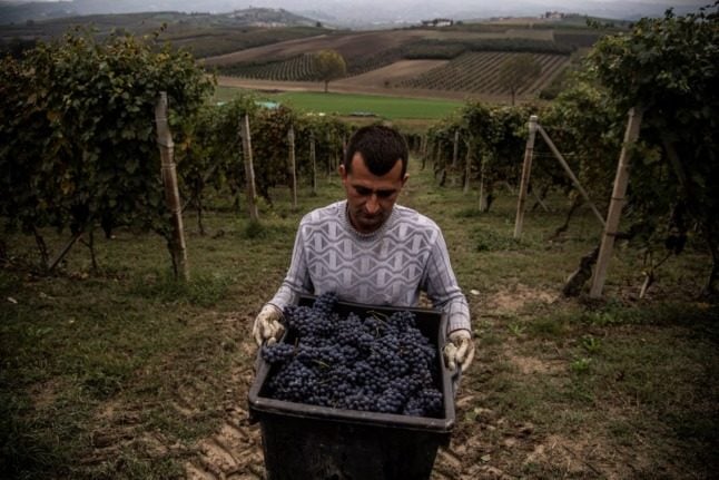 Italy’s wine production falls by nine percent after year of extreme weather