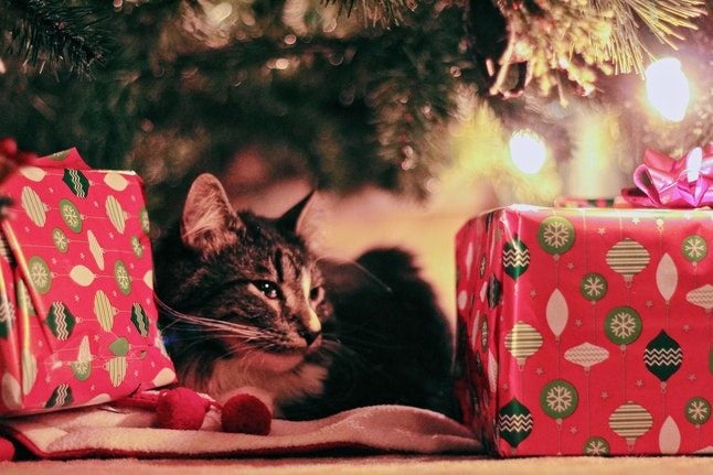 Posting Christmas presents from Austria? Here’s what you need to know