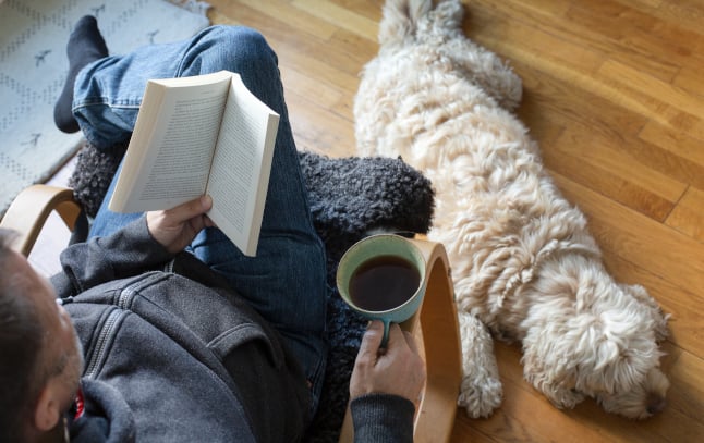 a man reading a book and there's a dog on the floor