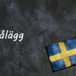 Swedish word of the day: pålägg