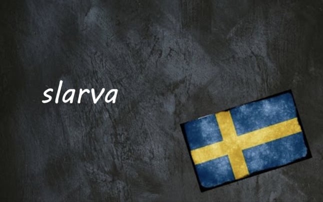 the word slarv on a black background by a Swedish flag