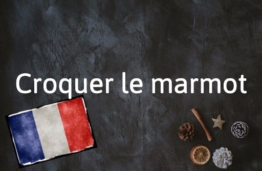 French Expression of the Day: Croquer le marmot