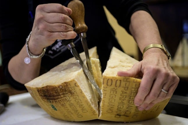 A woman cuts into a wheel of parmesan