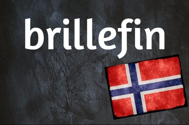 Norwegian word of the day: Brillefin
