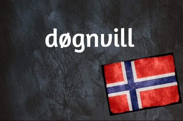 A blackboard with the word døgnvill on it. 